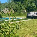 Bed & Breakfast Chez Odette Cypres De Provence 3*
